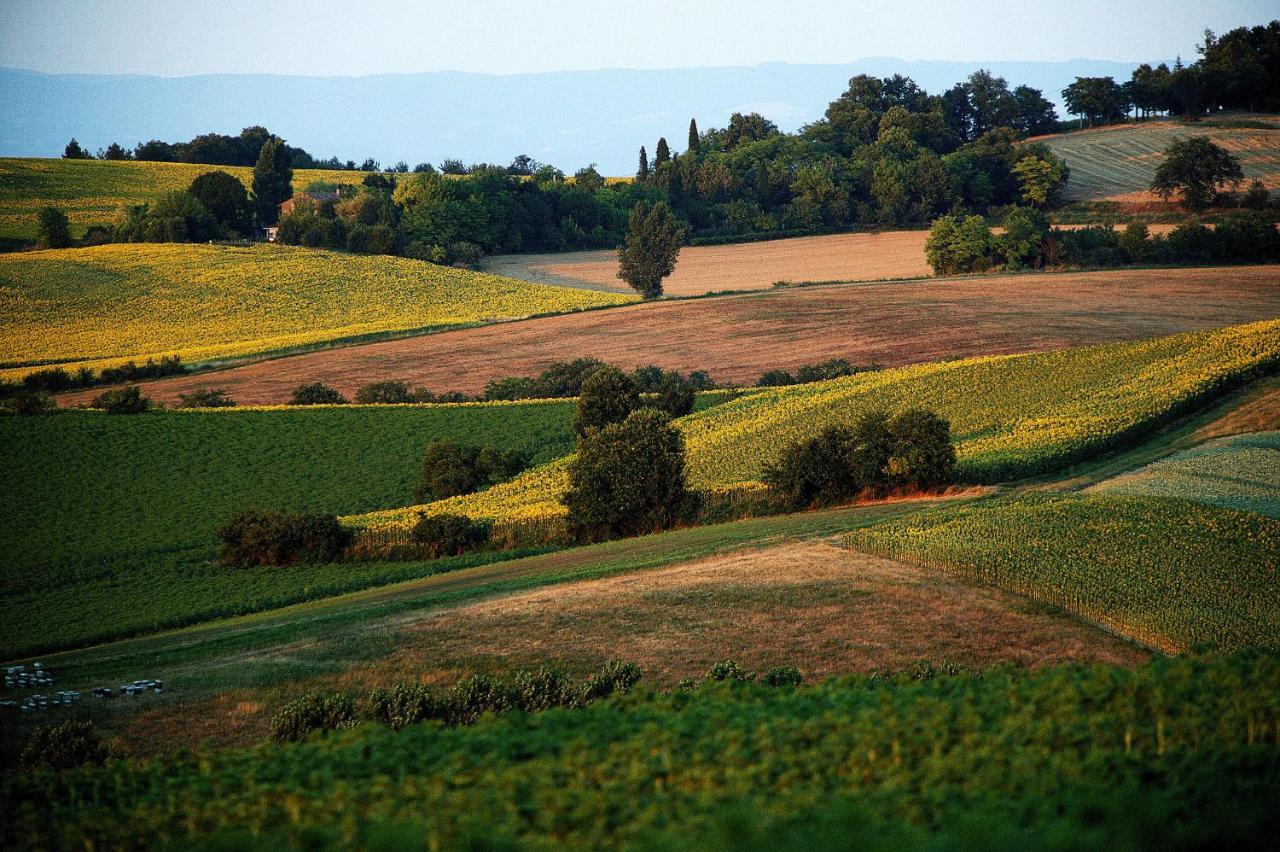 Auberge Du Poids Public Logis Hotel Saint-Félix-Lauragais Eksteriør bilde